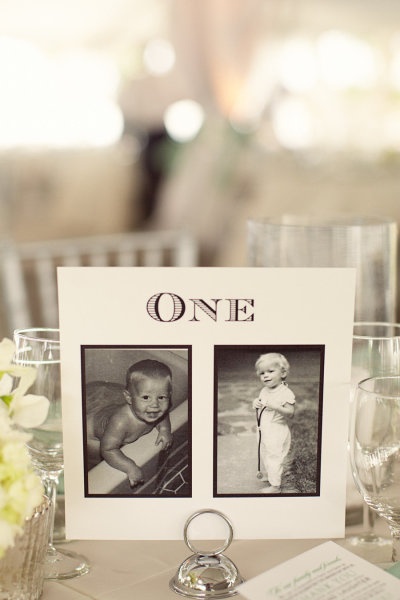Voltaire weddings, wedding website, table name ideas
