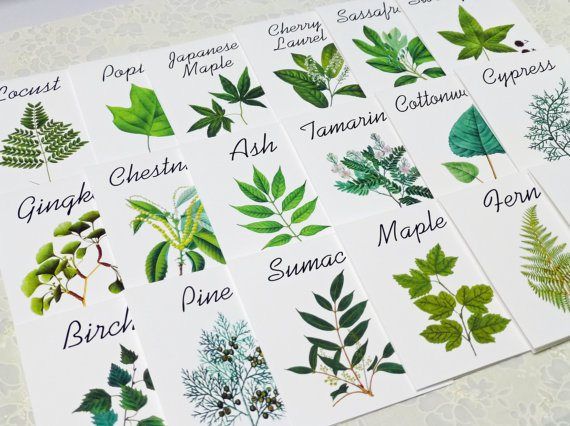LeafDecor