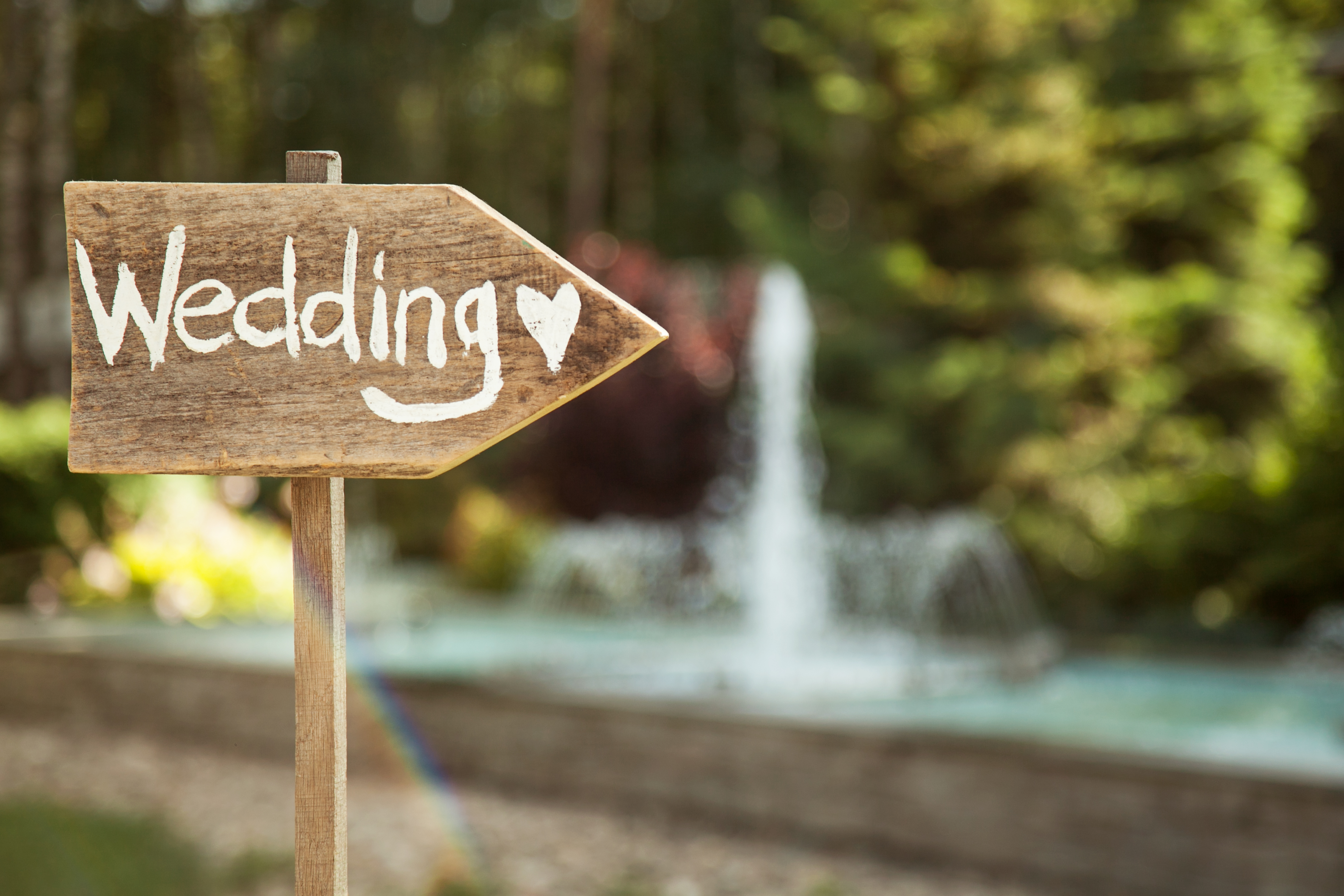 voltaire weddings,  wedding website, wedding sign